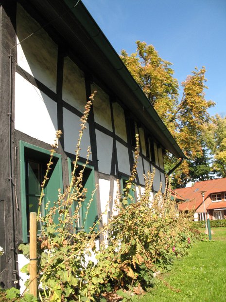 Wittekindshof-Häuser