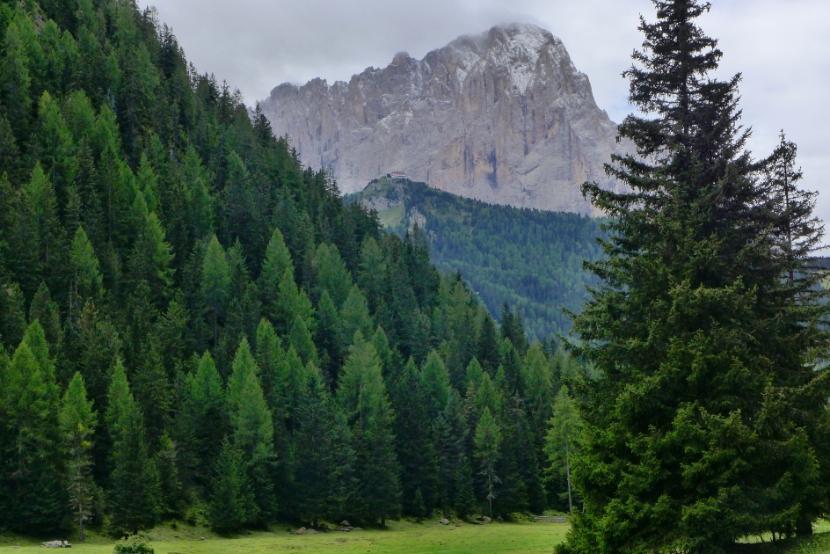 Blick zum Ciampinoi und Langkofel