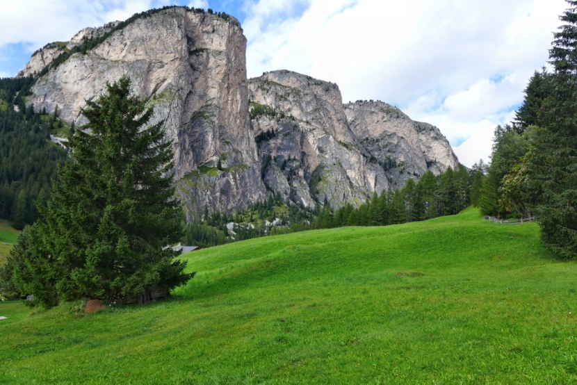 Stevia-Wände im Langental