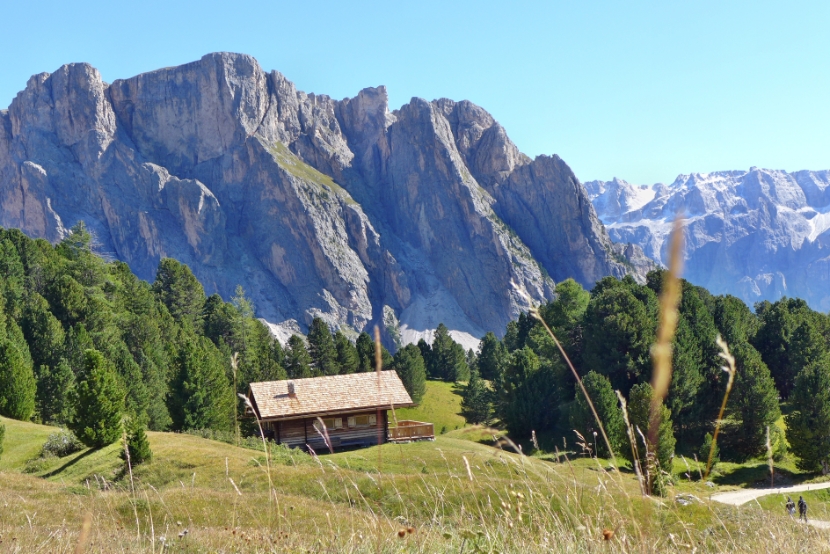 Blick zur Steviagruppe