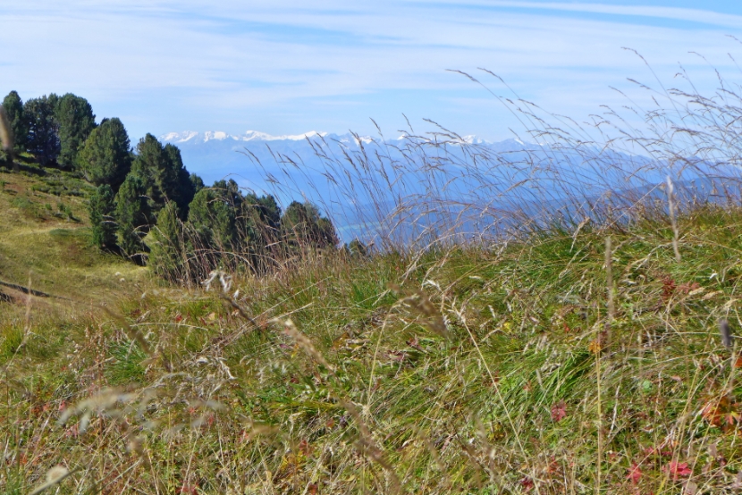 Blick vom Cucasattel zum Alpenhauptkamm