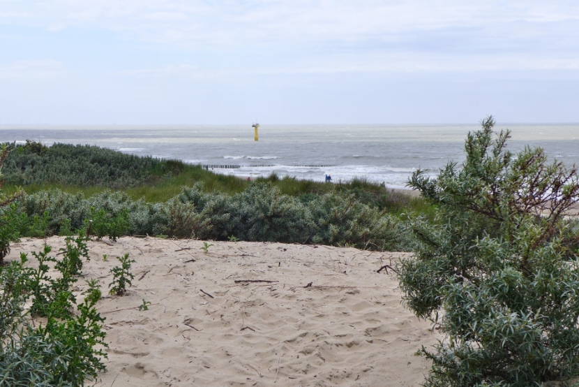 Strand bei Nieuwvliet