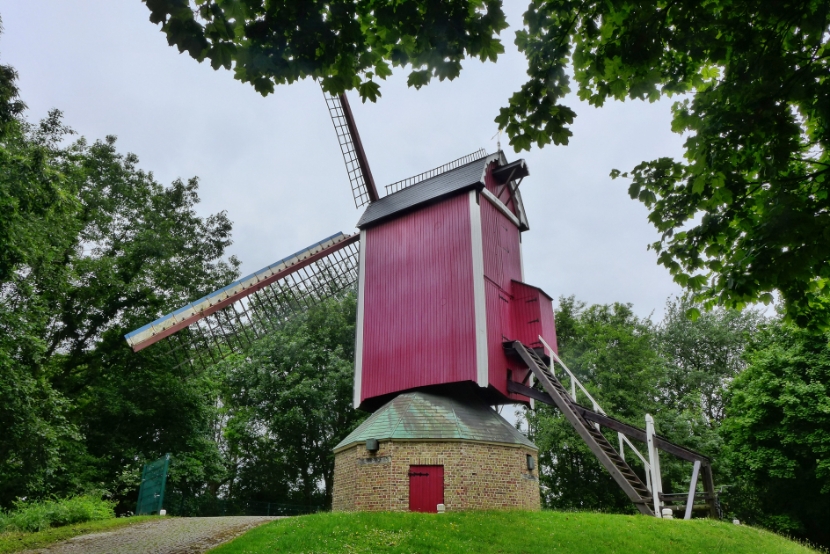 Windmühlen in Brügge