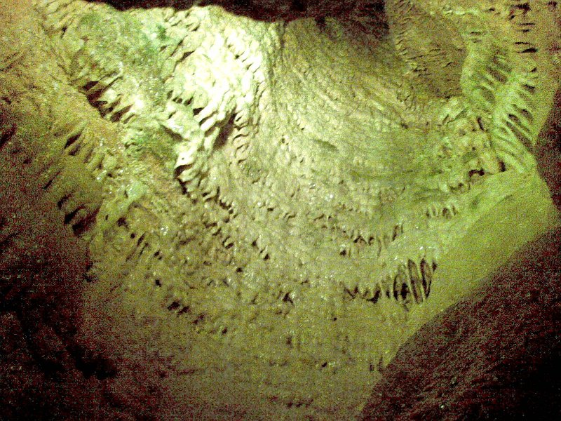 Laichinger Tiefenhöhle