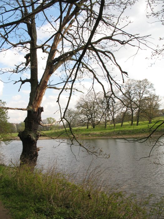 Werre unterm Spatzenberg