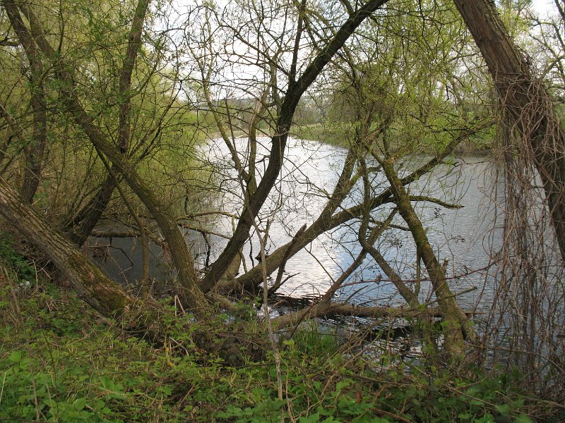Eisenbahnbrücke über die Werre