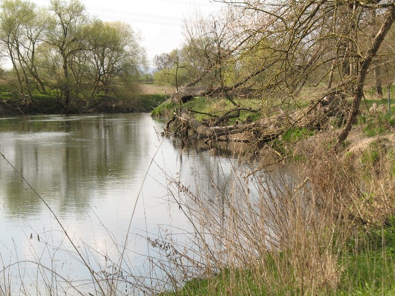 Werre nördlich der Bahnbrücke