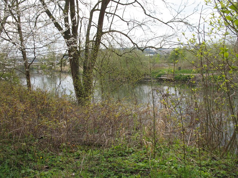 Werre an der Oberbehmer Mühle