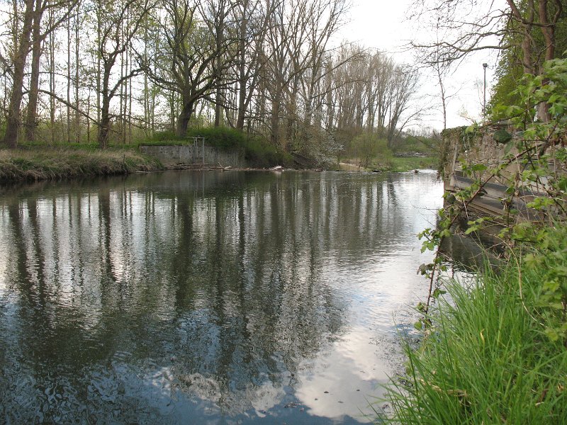 Werre an der Oberbehmer Mühle